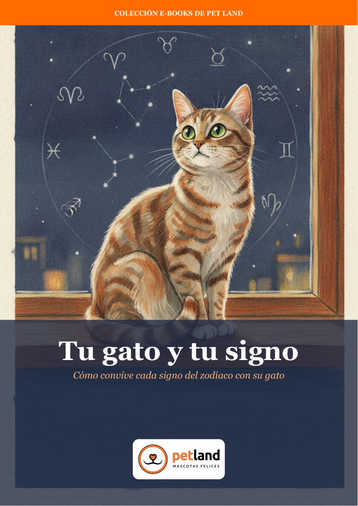 Tapa del ebook