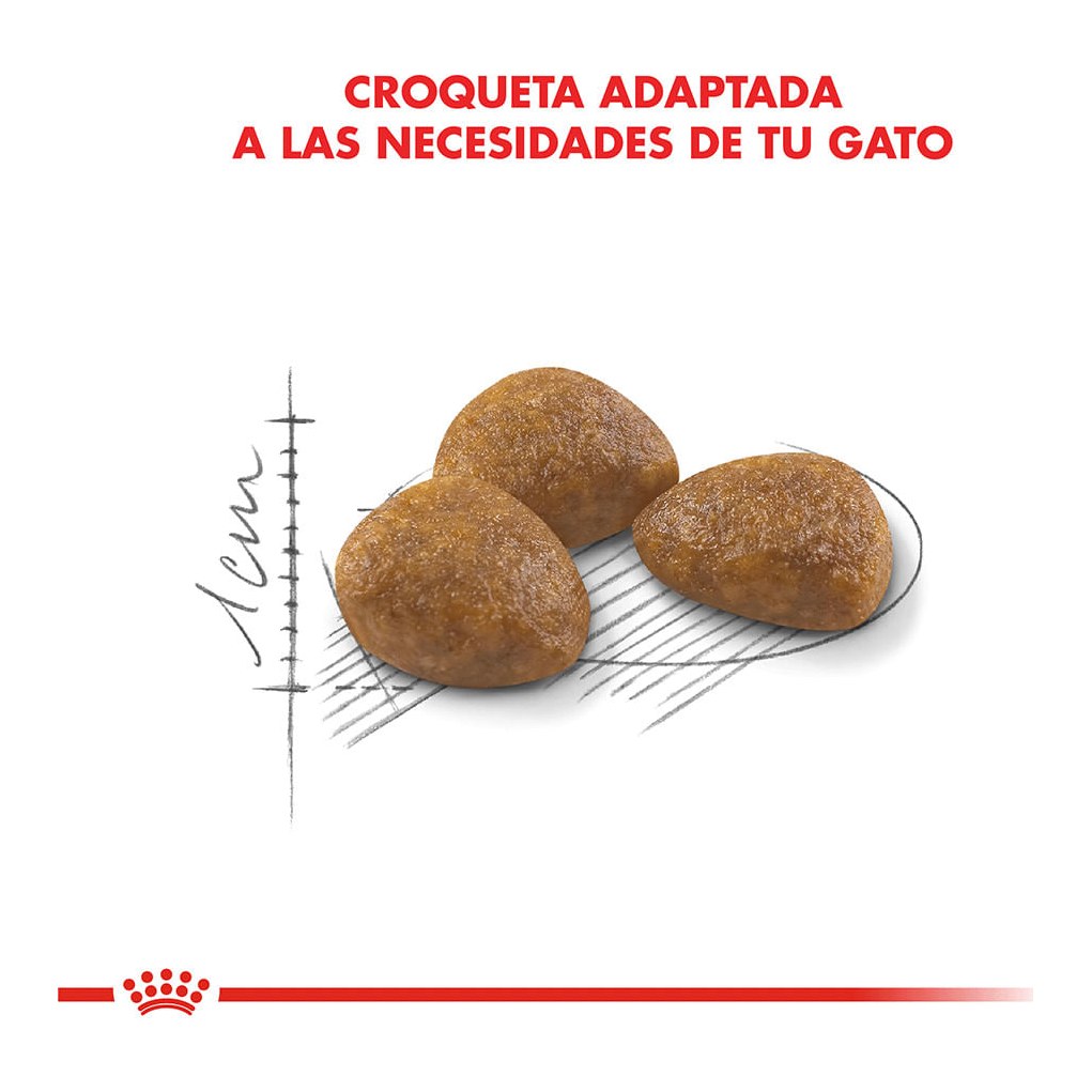 Royal Canin Active 7+ 1,5Kg – foto 2