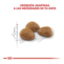 Royal Canin Active 7+ 1,5Kg – foto 2