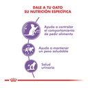 Royal Canin Appetite Control Castr X 1,5Kg – foto 2