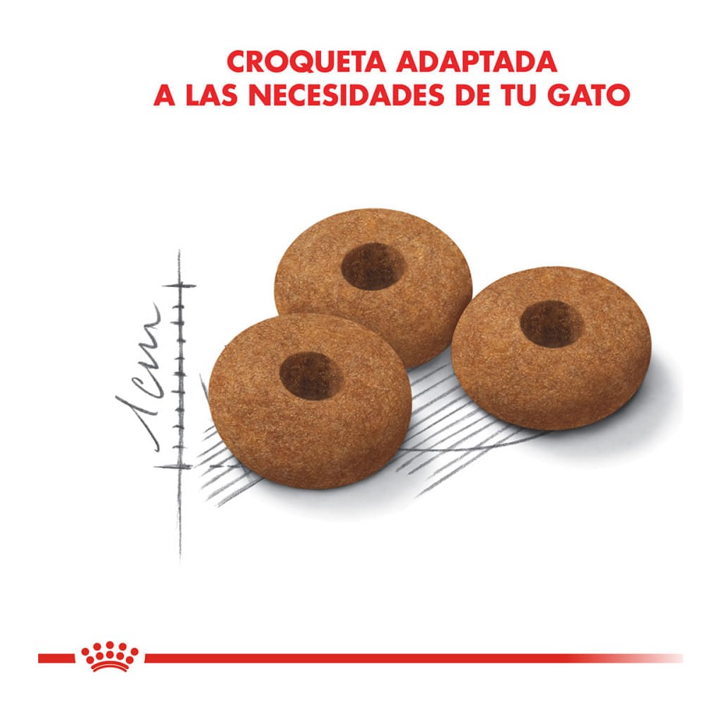 Royal Canin Appetite Control Castr X 1,5Kg – foto 3