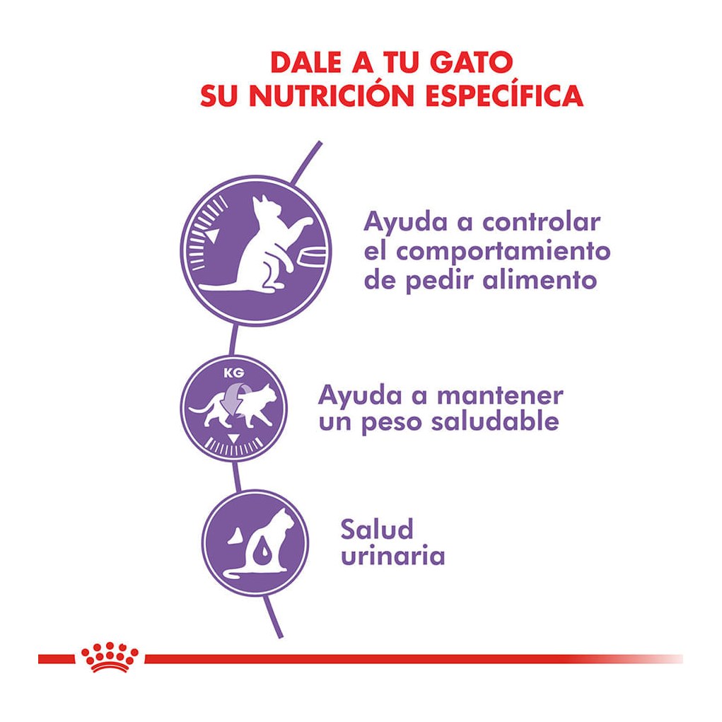 Royal Canin Appetite Control Castr X 3Kg – foto 2