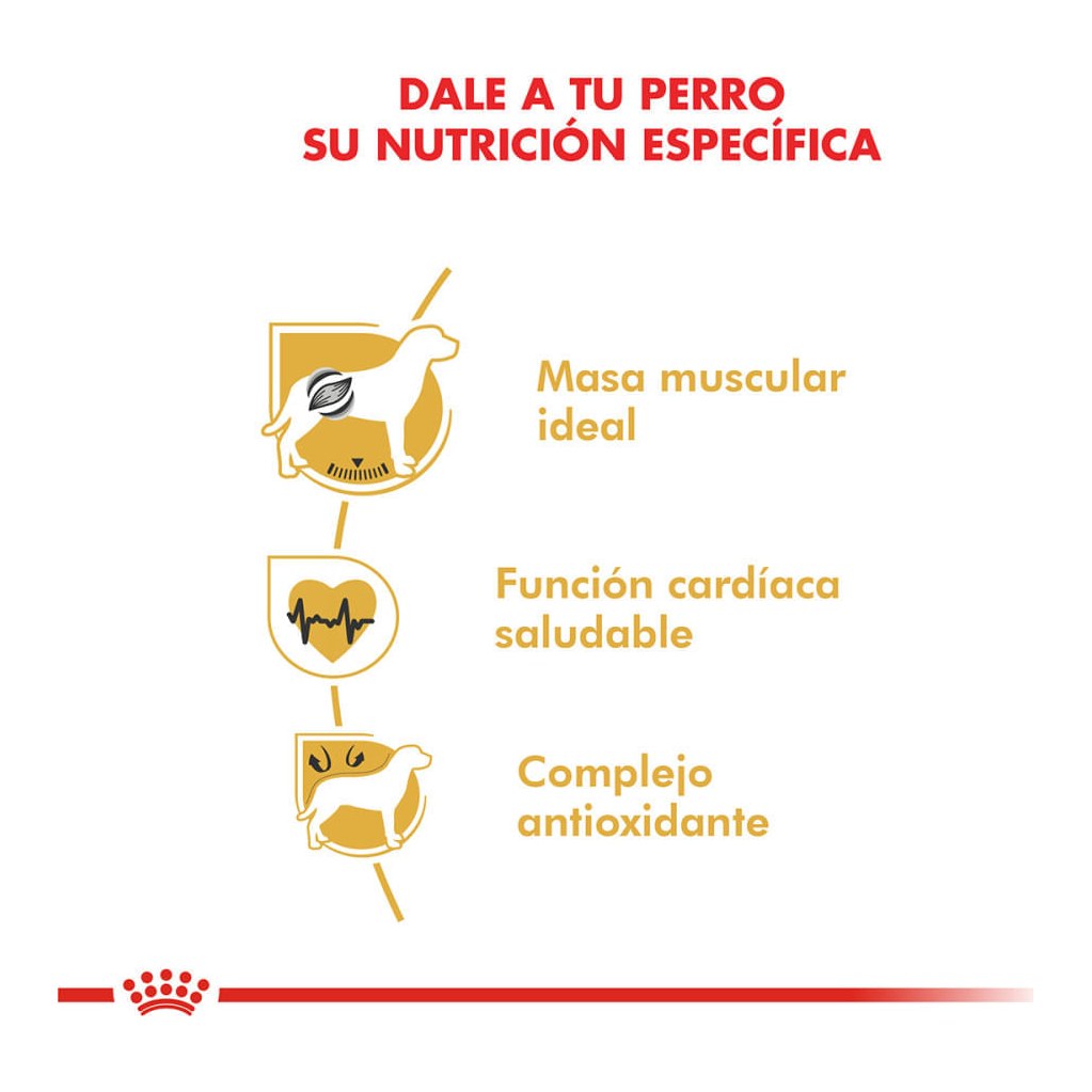 Royal Canin Boxer Adulto 12Kg – foto 2