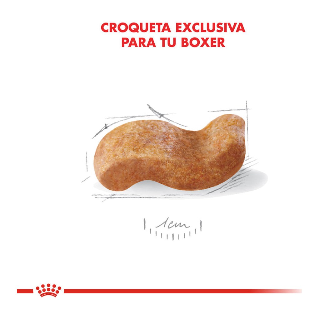 Royal Canin Boxer Adulto 12Kg – foto 3