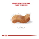 Royal Canin Boxer Adulto 12Kg – foto 3
