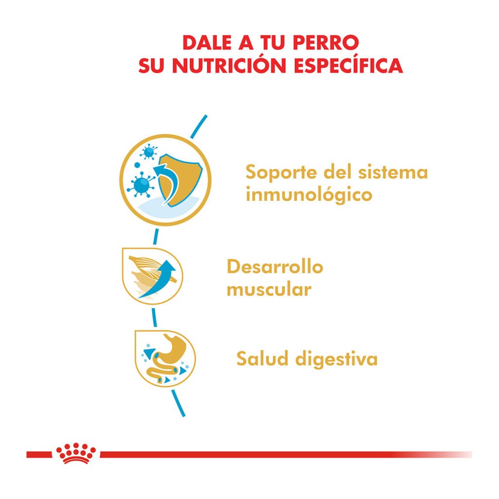 Royal Canin Boxer Puppy 12Kg – foto 2