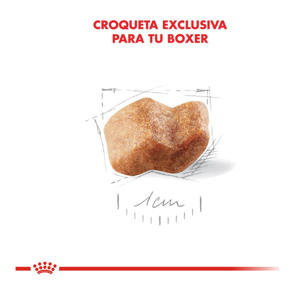 Royal Canin Boxer Puppy 12Kg – foto 3