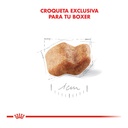 Royal Canin Boxer Puppy 12Kg – foto 3