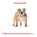 Royal Canin Bulldog Adulto 12Kg – foto 3