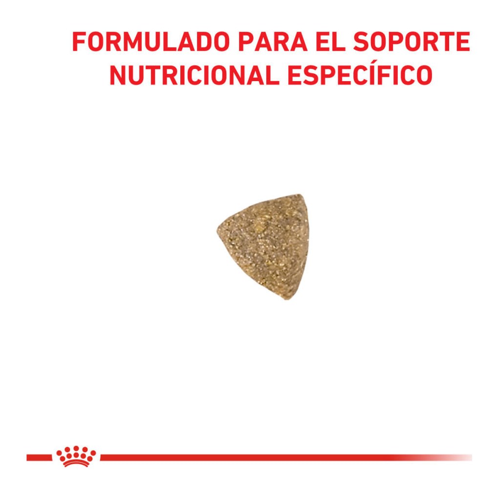 Royal Canin Calm Cat X 2Kg – foto 2
