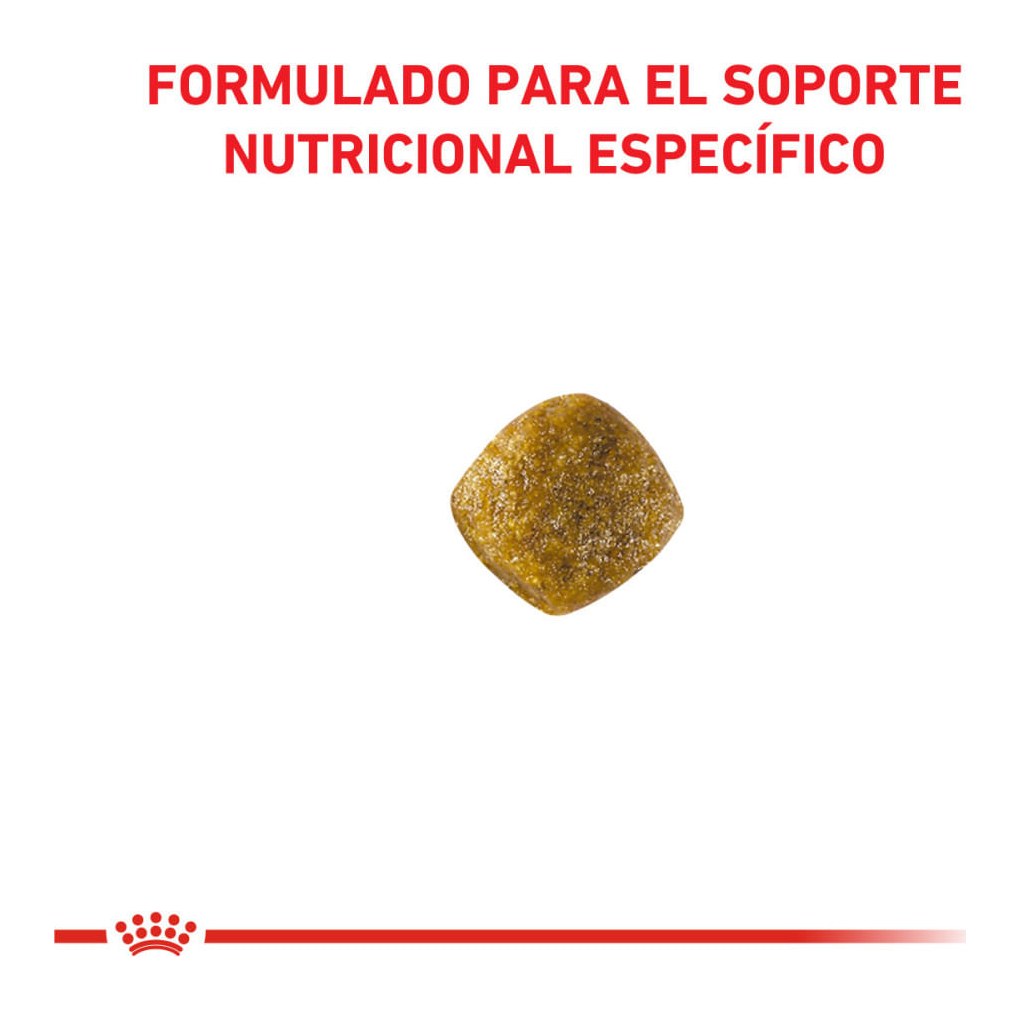 Royal Canin Calm Dog X2Kg – foto 2