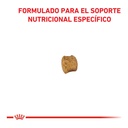 Royal Canin Early Renal Feline X 1,5Kg – foto 2