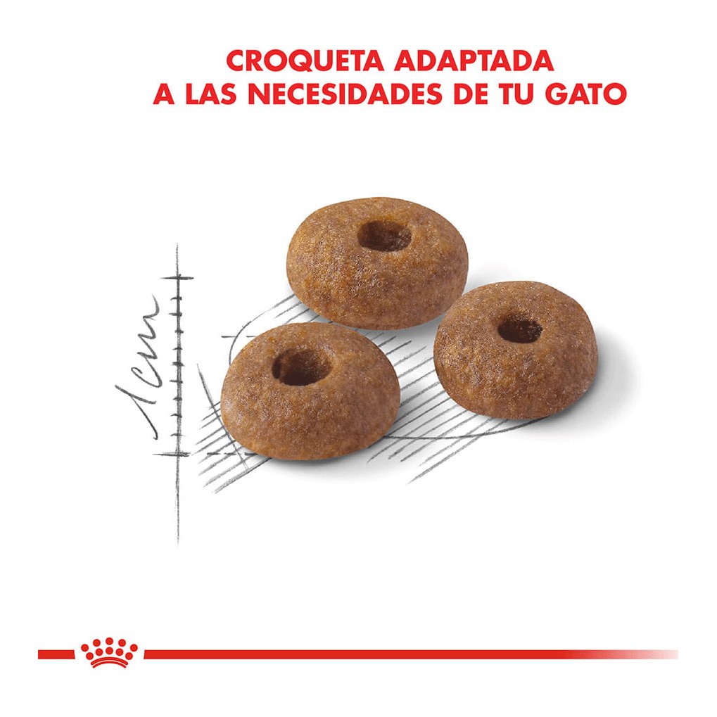 Royal Canin Fit 32 X 1,5Kg – foto 2