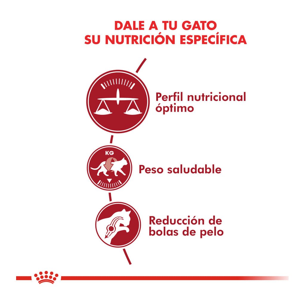 Royal Canin Fit 32 X 400Gr – foto 2