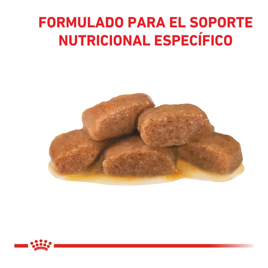 Royal Canin Gastrointest Pouch 85Gr Feline – foto 2