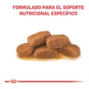 Royal Canin Gastrointest Pouch 85Gr Feline – foto 2