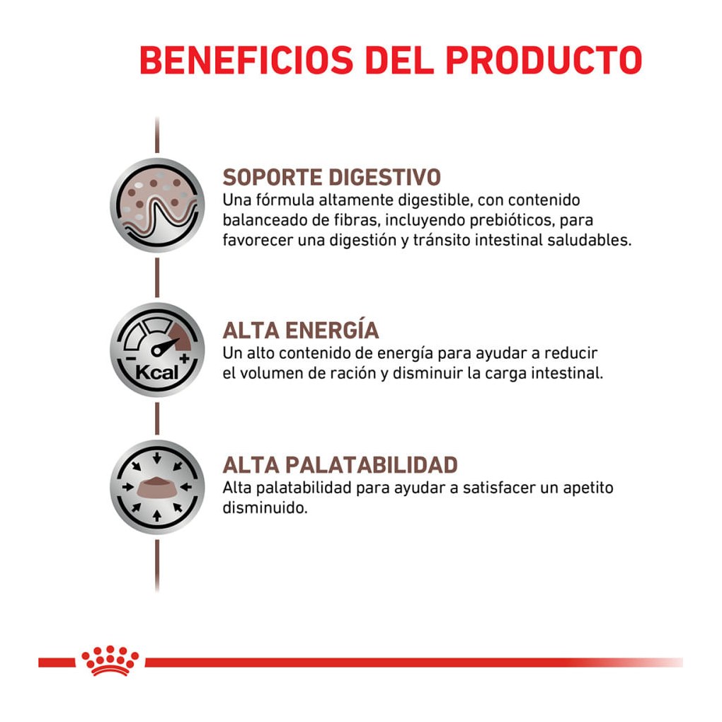 Royal Canin Gastrointestinal Dog X 2Kg – foto 2