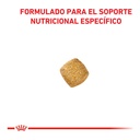 Royal Canin Gatos Cast-Weight Control X1,5 – foto 2