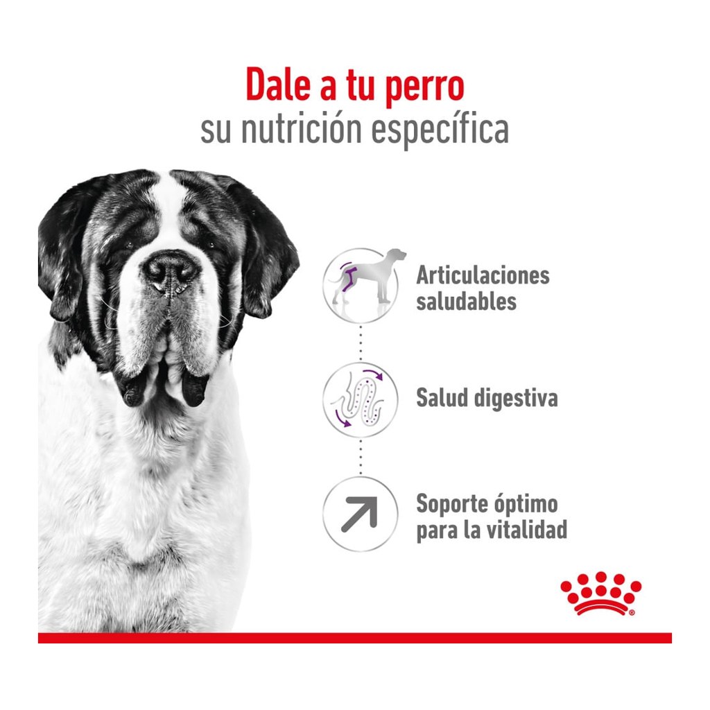 Royal Canin Giant Adult 15Kg – foto 2