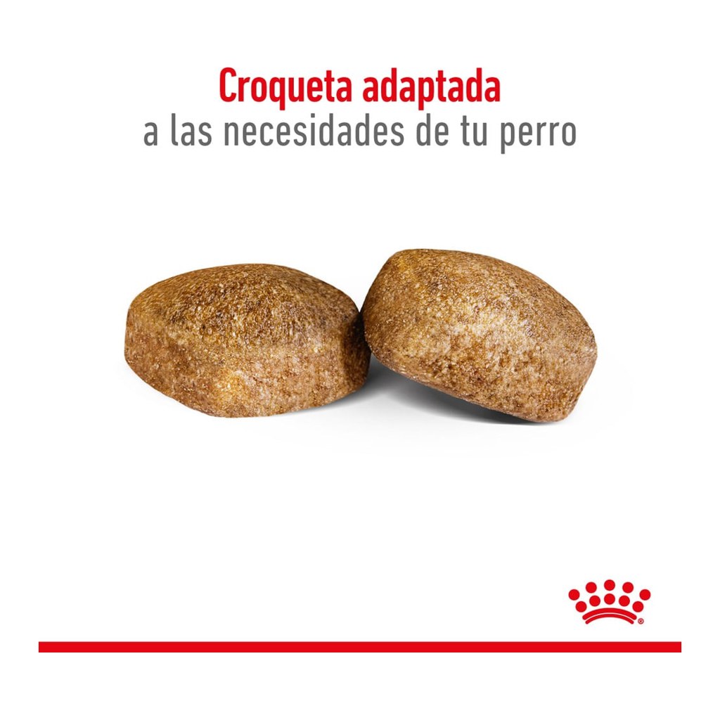 Royal Canin Giant Adult 15Kg – foto 3