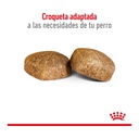 Royal Canin Giant Adult 15Kg – foto 3