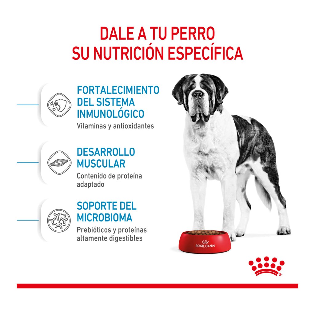 Royal Canin Giant Junior 15Kg – foto 2