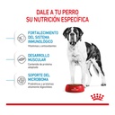 Royal Canin Giant Junior 15Kg – foto 2