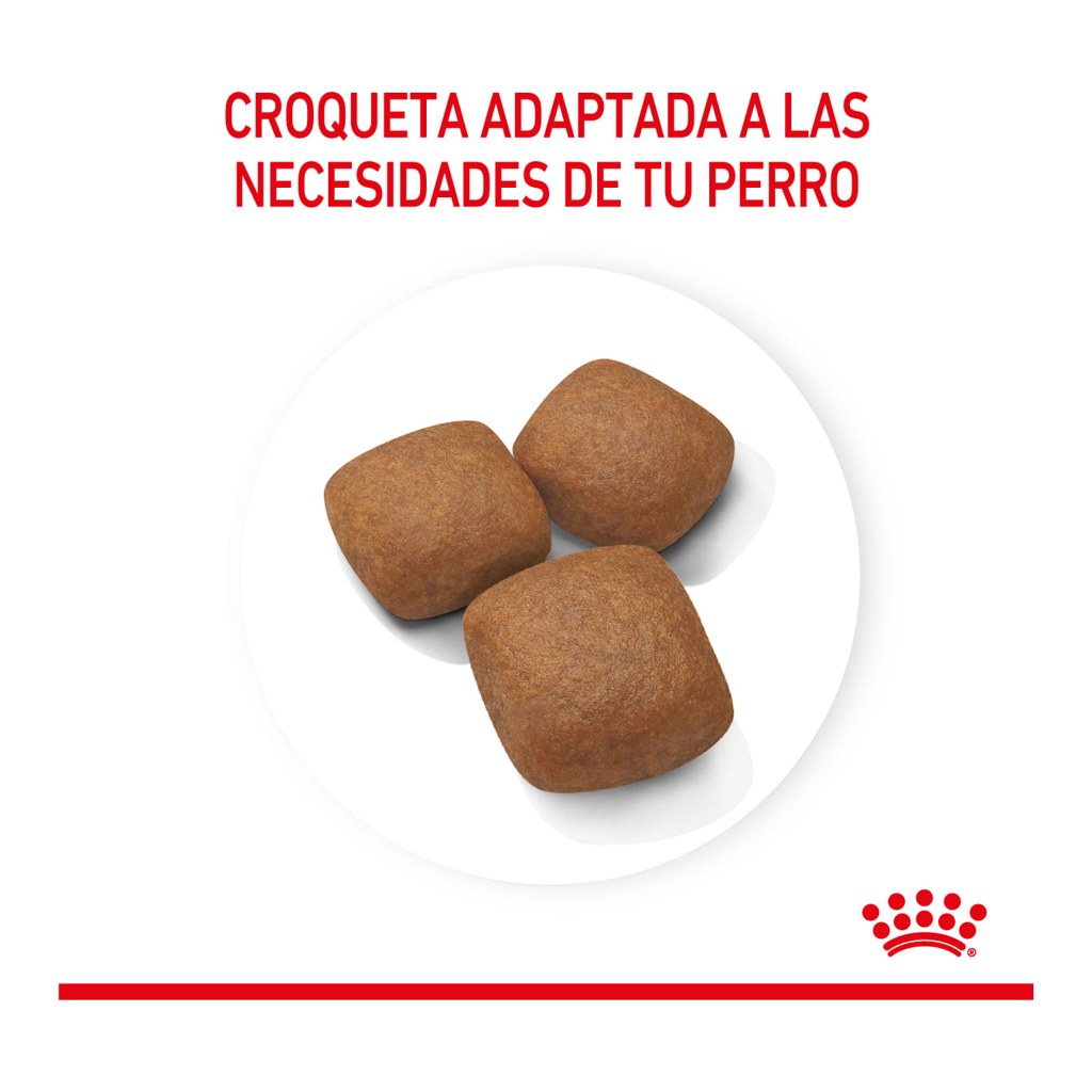 Royal Canin Giant Junior 15Kg – foto 3