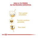 Royal Canin Golden Retriever Adulto 12Kg – foto 2