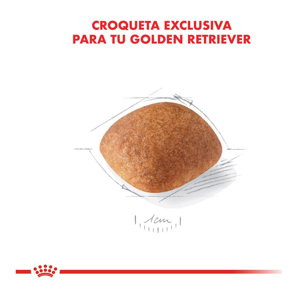 Royal Canin Golden Retriever Adulto 12Kg – foto 3