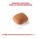 Royal Canin Golden Retriever Adulto 12Kg – foto 3
