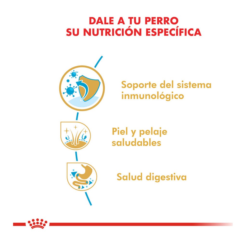 Royal Canin Golden Retriever Puppy 12Kg – foto 2