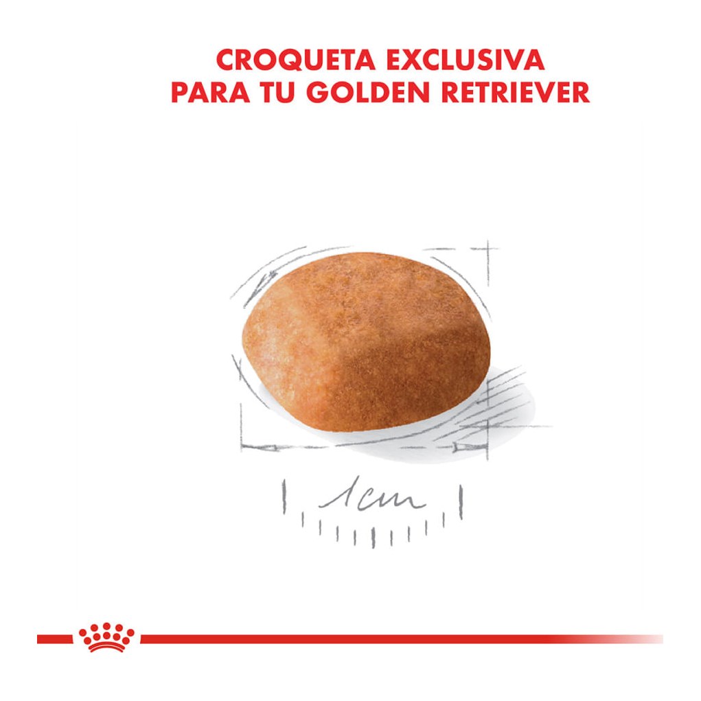 Royal Canin Golden Retriever Puppy 12Kg – foto 3