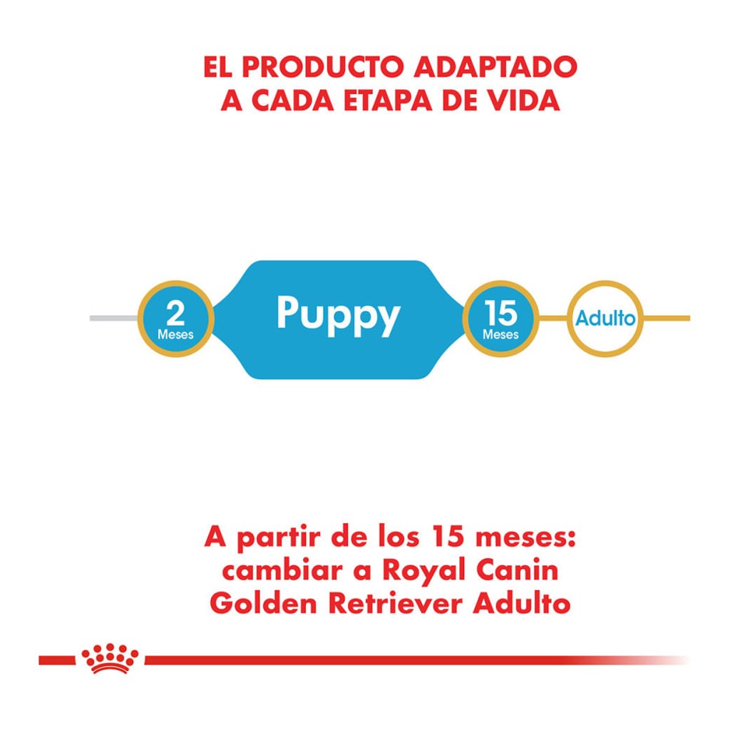 Royal Canin Golden Retriever Puppy 12Kg – foto 4