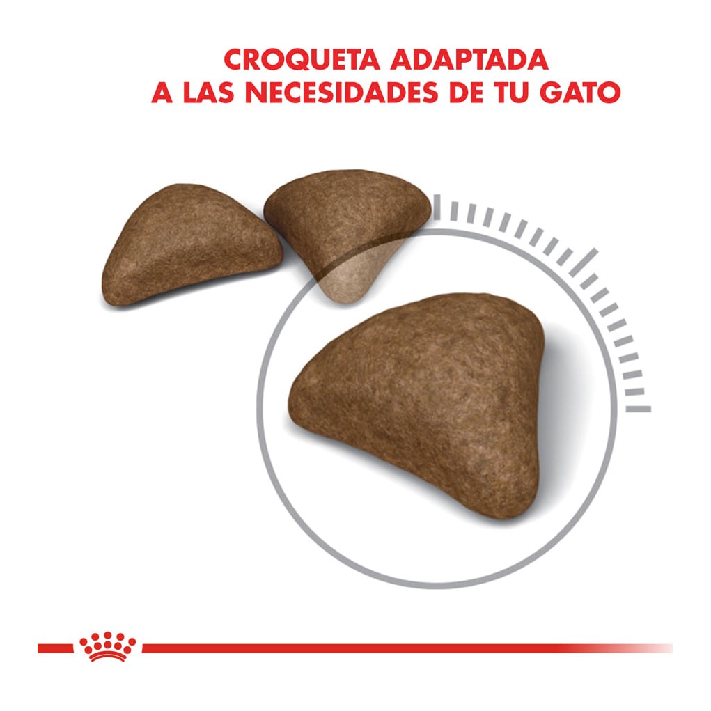 Royal Canin Hairball Care 1,5Kg – foto 3