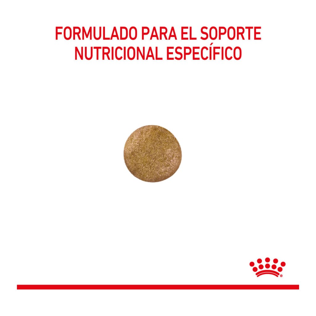Royal Canin Hypoallergenic Feline X 2Kg – foto 2