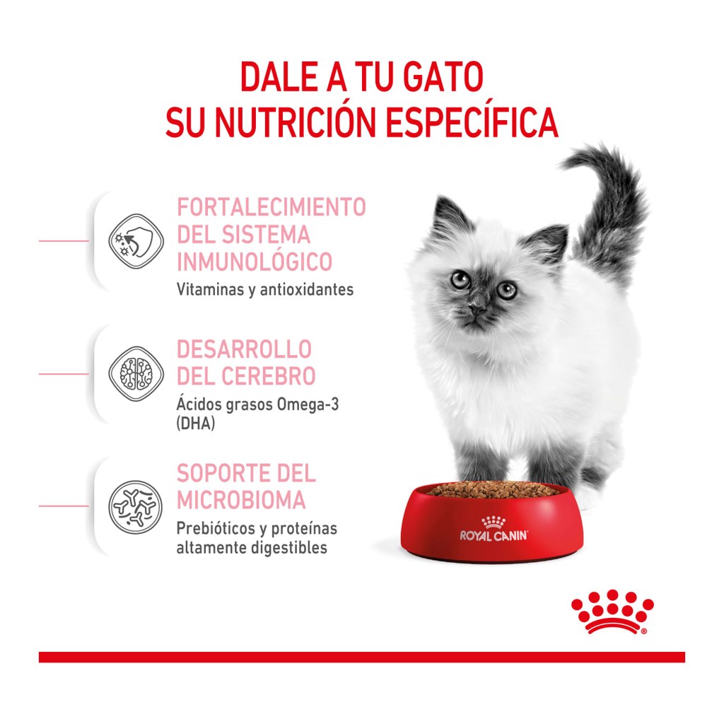 Royal Canin Kitten 400Gr – foto 2
