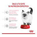 Royal Canin Kitten 400Gr – foto 2