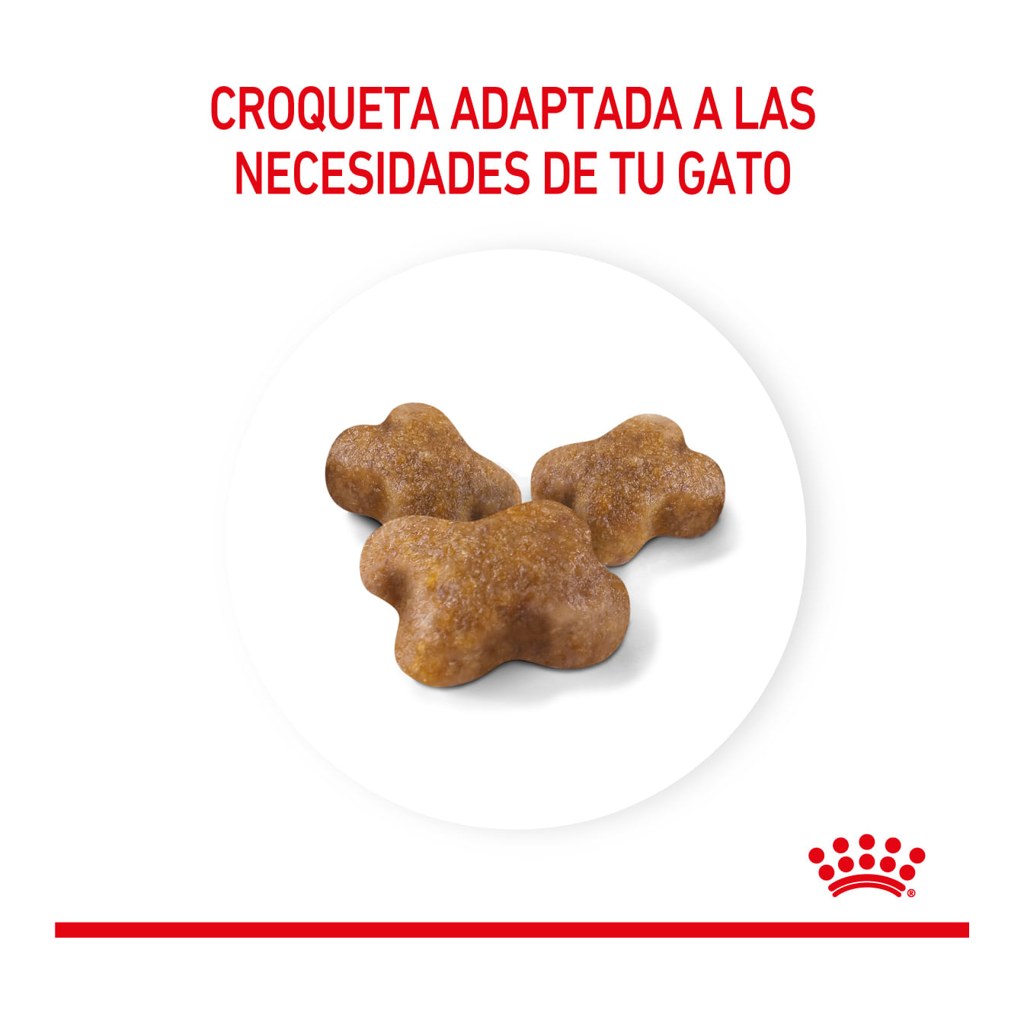 Royal Canin Kitten 400Gr – foto 3