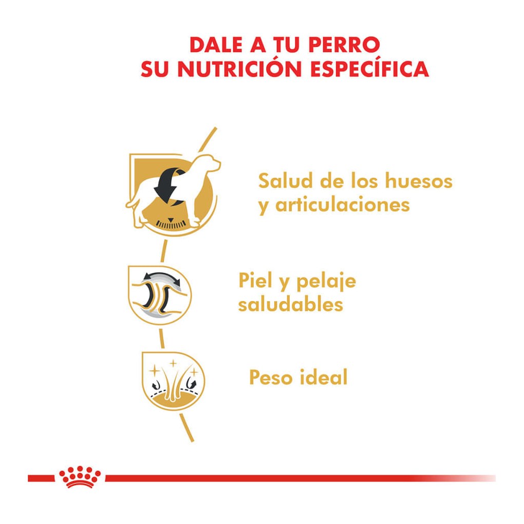 Royal Canin Labrador Retr Adulto X 12Kg – foto 2