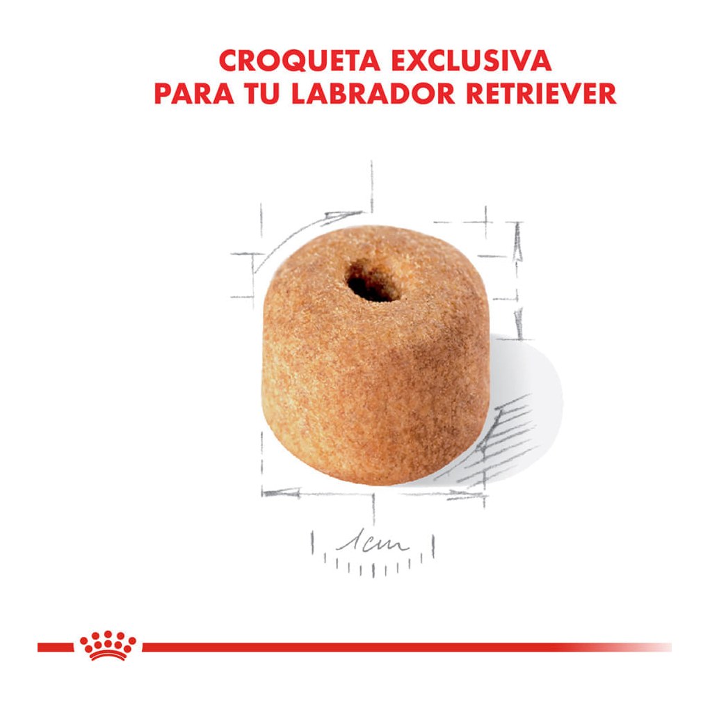Royal Canin Labrador Retr Adulto X 12Kg – foto 3