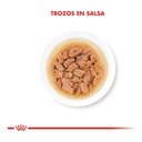 Royal Canin MINI PUPPY Pouch 85Gr – foto 2