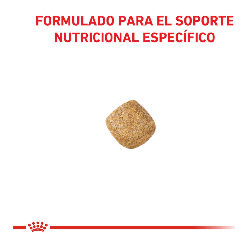 Royal Canin Mature Consult X 1,5Kg – foto 2