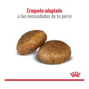 Royal Canin Maxi Adult 3Kg – foto 3
