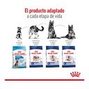Royal Canin Maxi Adult 3Kg – foto 4
