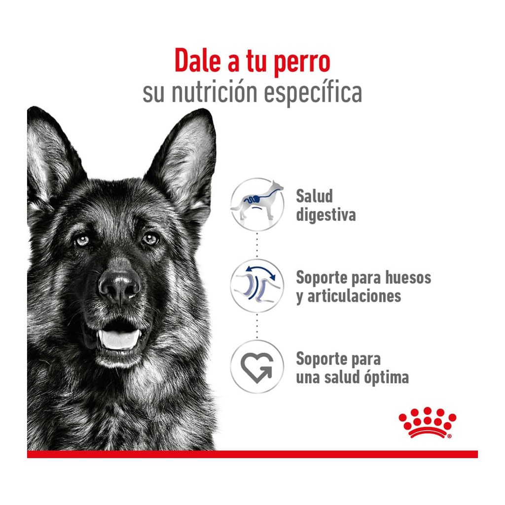 Royal Canin Maxi Adult X 15Kg + 3Kg – foto 2