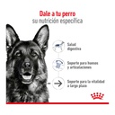 Royal Canin Maxi Ageing 8+ X15Kg – foto 2