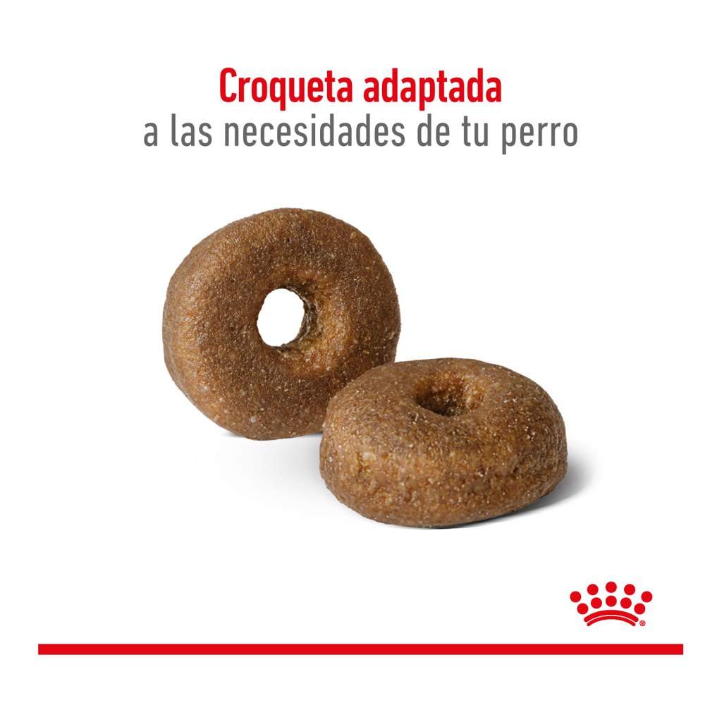 Royal Canin Maxi Ageing 8+ X15Kg – foto 3