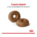Royal Canin Maxi Ageing 8+ X15Kg – foto 3