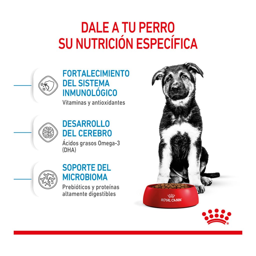 Royal Canin Maxi Puppy 3Kg – foto 2